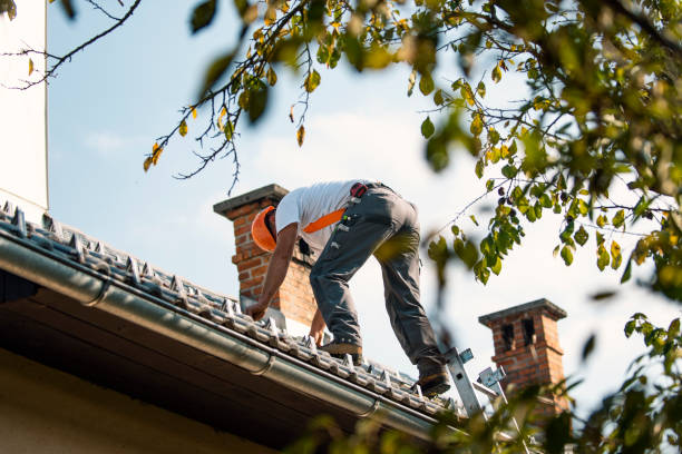 Tile Roofing Contractor in Pearl Beach, MI