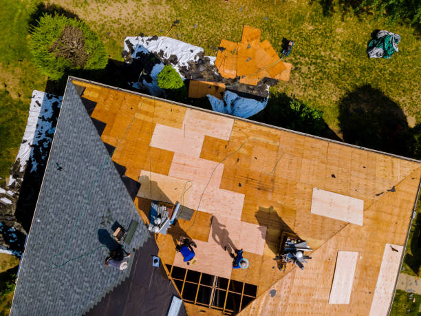 Best Roof Gutter Cleaning  in Pearl Beach, MI