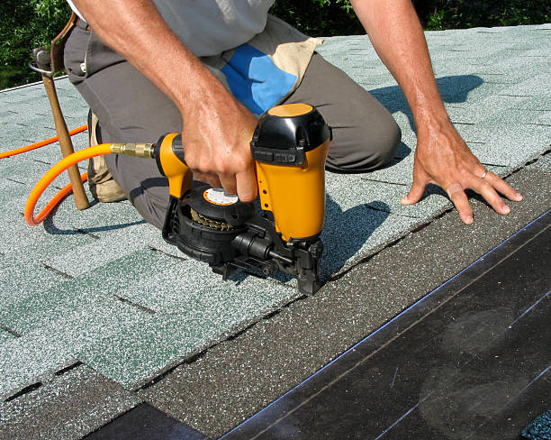 Best Roof Repair Services  in Pearl Beach, MI