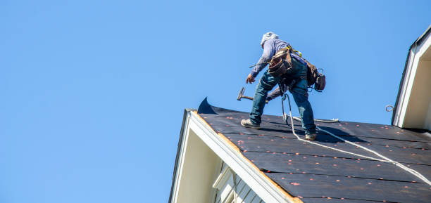 Best Metal Roofing Contractor  in Pearl Beach, MI
